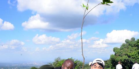 LG Tree Planting 1