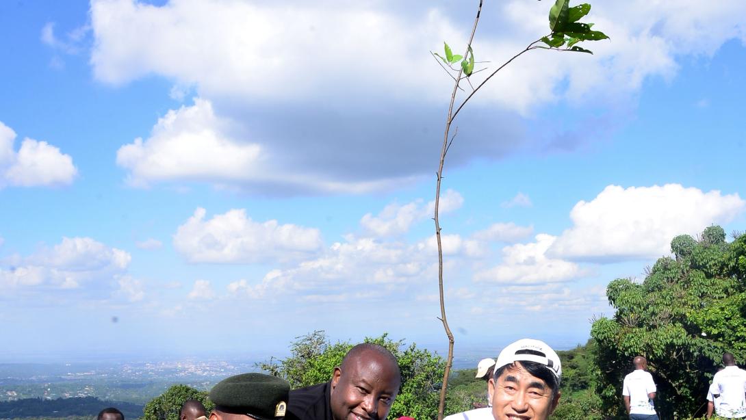 LG Tree Planting 1
