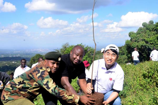 LG Electronics East Africa plants 300 indigenous trees at Ngong Hills Forest in restoration drive