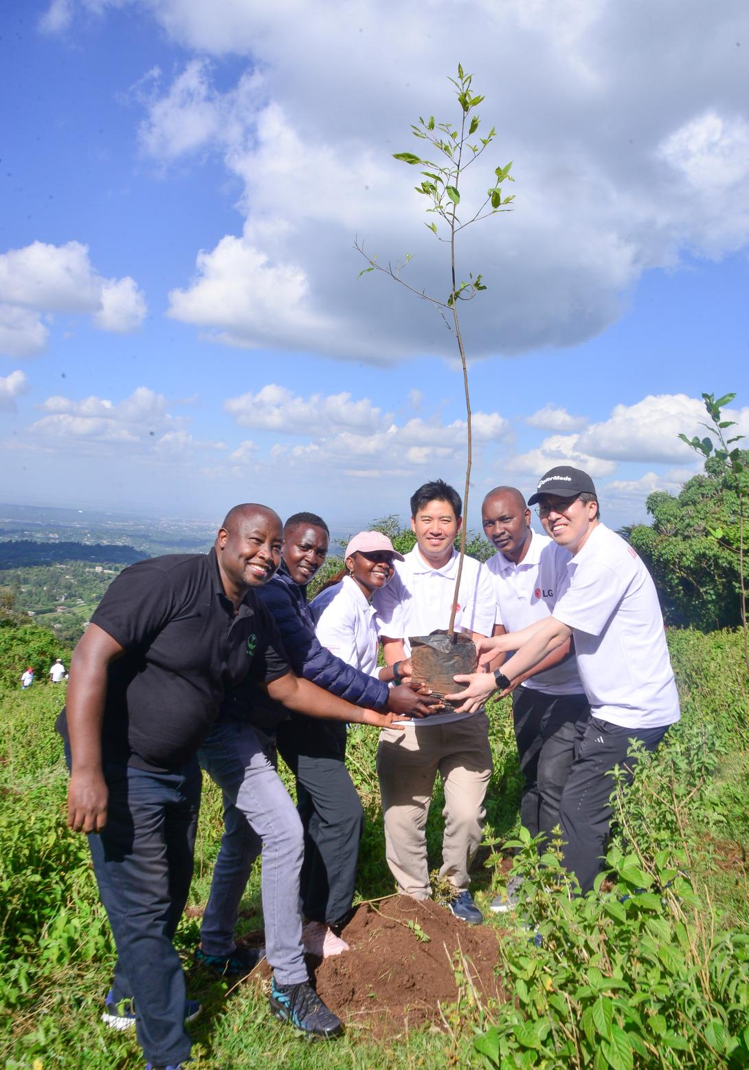 LG Tree Planting 2