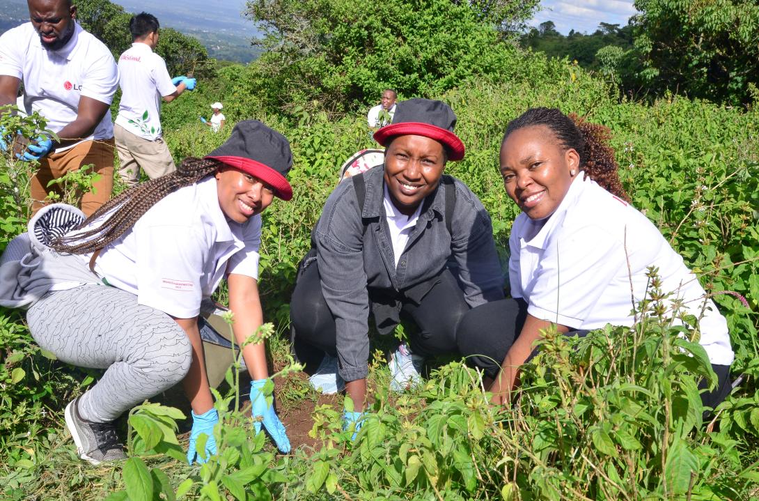 LG Tree Planting 3